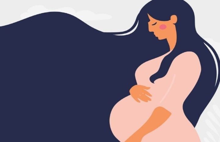 embarazo y la lactancia