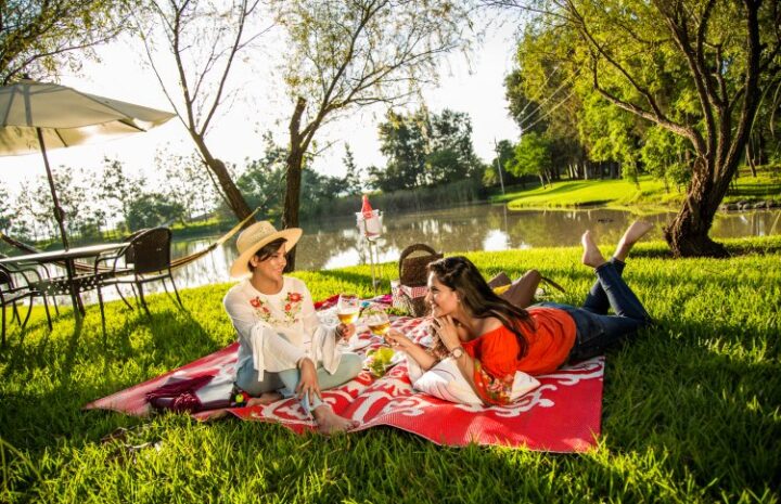 Ideas de picnic con comida comprada